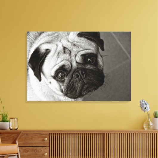 Chiot de Pug sur la toile (Insitu(Salon))