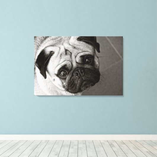 Chiot de Pug sur la toile (Insitu (Plancher de Bois))