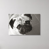 Chiot de Pug sur la toile (Recto)