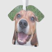 Chiot de sourire de beagle (devant)