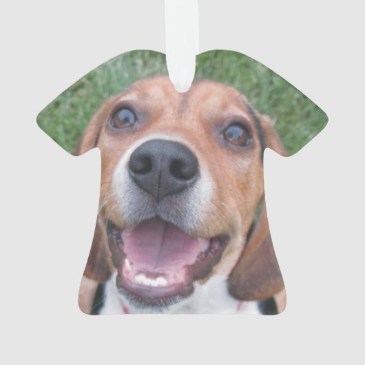 Chiot de sourire de beagle (dos)