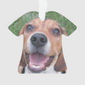 Chiot de sourire de beagle (devant)