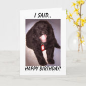 Chiot de Terre-Neuve de carte d'anniversaire (Fleur jaune)