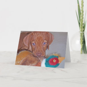 Chiot de Vizsla avec la carte de voeux de faisan