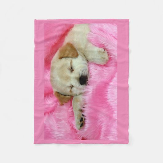 Chiot dormant sur la couverture rose d'ouatine (Devant)