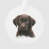 Chiot du Labrador au chocolat (devant)