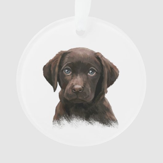 Chiot du Labrador au chocolat (devant)