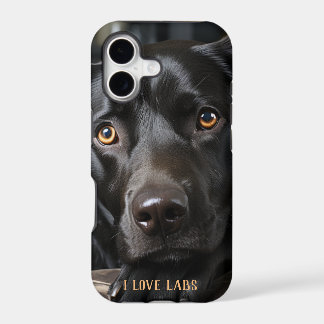 Chiot du Labrador noir
