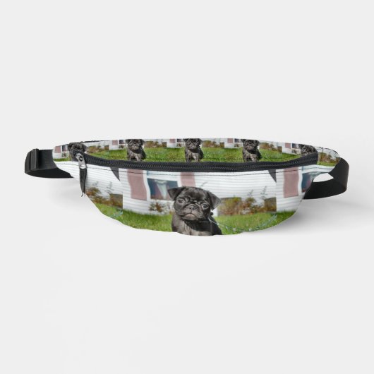 Chiot en carlin noir (Recto)