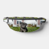 Chiot en carlin noir (Poser)