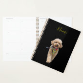 Chiot en peluche ivoire (Devant avec enveloppe)