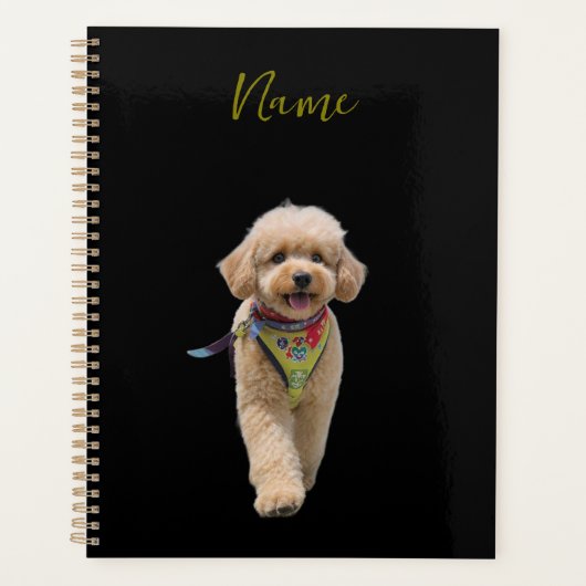Chiot en peluche ivoire (Devant)