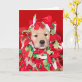Chiot Golden Retriever emmêlé dans une carte de gu (Fleur jaune)