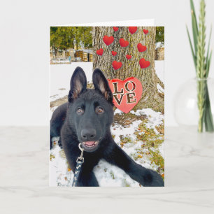 Chiot GSD noir avec coeur et carte Valentine Love