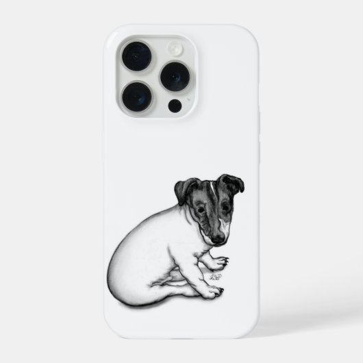 Chiot Jack Russell 10 semaines (Verso)