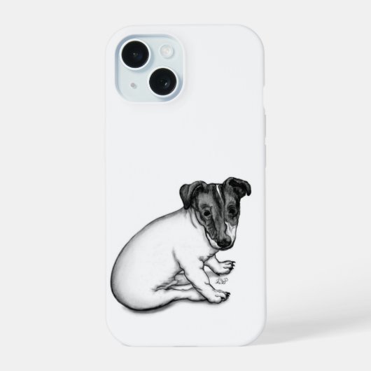 Chiot Jack Russell 10 semaines (Verso)