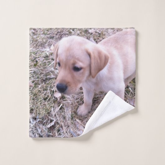 Chiot jaune de labrador retriever (Gant de toilette)