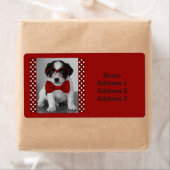 Chiot mignon avec Bow rouge et Étiquette de adress (En situation)