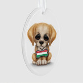Chiot mignon avec l'étiquette de chien hongroise (devant)