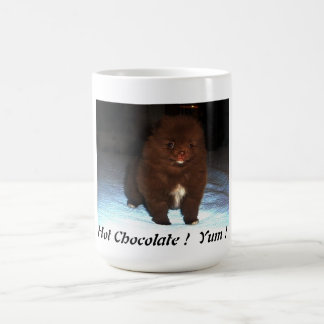 Chiot pomeranian de chocolat sur la tasse