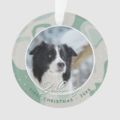 Chiot première frontière de Noël Collie Chien phot (devant)