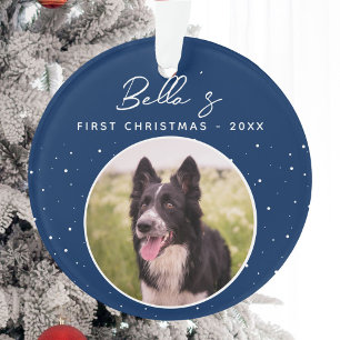 Chiot première frontière de Noël Collie Chien phot