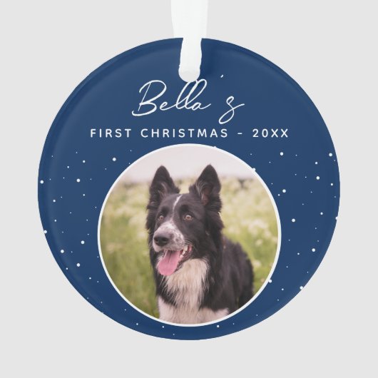 Chiot première frontière de Noël Collie Chien phot (dos)