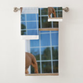 chiot roux et blanc (En situation)