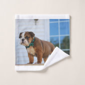 chiot roux et blanc (Gant de toilette)