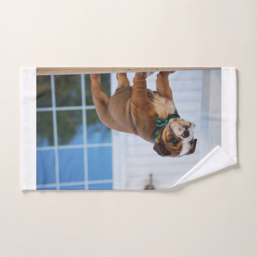 chiot roux et blanc (Serviette à main)