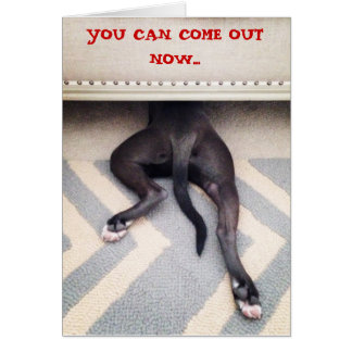 Chiot se cachant sous le divan