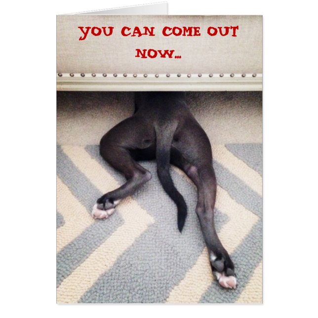 Chiot se cachant sous le divan (Devant)