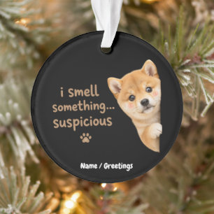 Chiot Shiba Inu Mignon Citation Odeur Drôle Chien