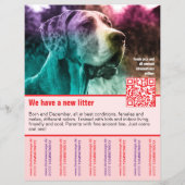 chiots à vendre prospectus modèle code QR (Devant)