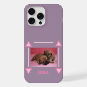 Chiots Bouledogue Français