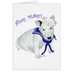 Chiots Bull Terrier Marin