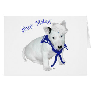 Chiots Bull Terrier Marin