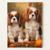 Chiots Cavalier King Charles Spaniel Automne Citro (Dos)