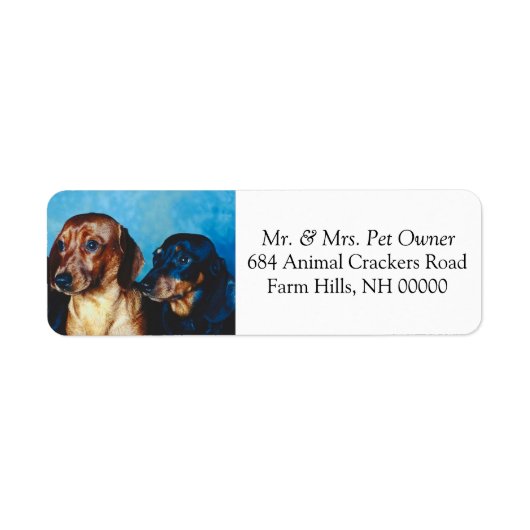 Chiots Dachsund Adresse de retour Stickers Courrie (Devant)