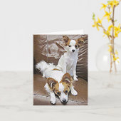 Chiots de Papillon 6 mois de carte de note (Fleur jaune)