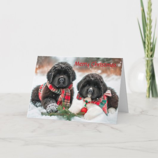Chiots de Terre-Neuve sur la carte de Noël de neig (Devant)
