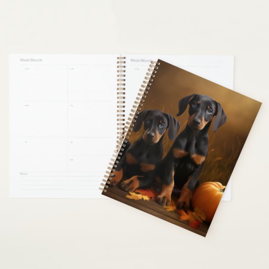 Chiots Dobermann Délice d'Automne Citrouille (Devant avec enveloppe)
