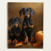Chiots Dobermann Délice d'Automne Citrouille (Devant)