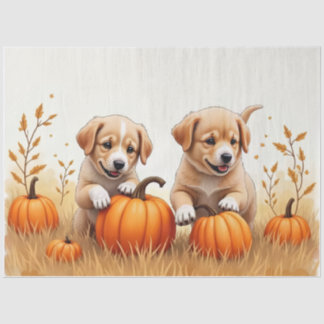 Chiots en papier de soie dans un champ de citrouil