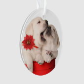 Chiots espiègles de Noël dans un récipient rouge (devant)