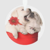 Chiots espiègles de Noël dans un récipient rouge (dos)