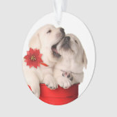 Chiots espiègles de Noël dans un récipient rouge (devant)