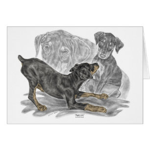 Chiots espiègles de Pinscher de dobermann