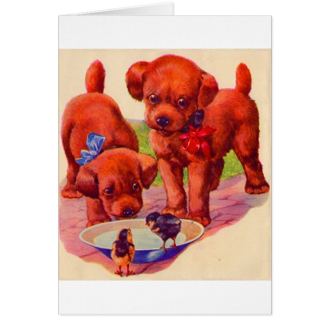 Chiots et oiseaux des années 1930 (Devant)