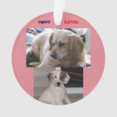 Chiots et SIS (devant)